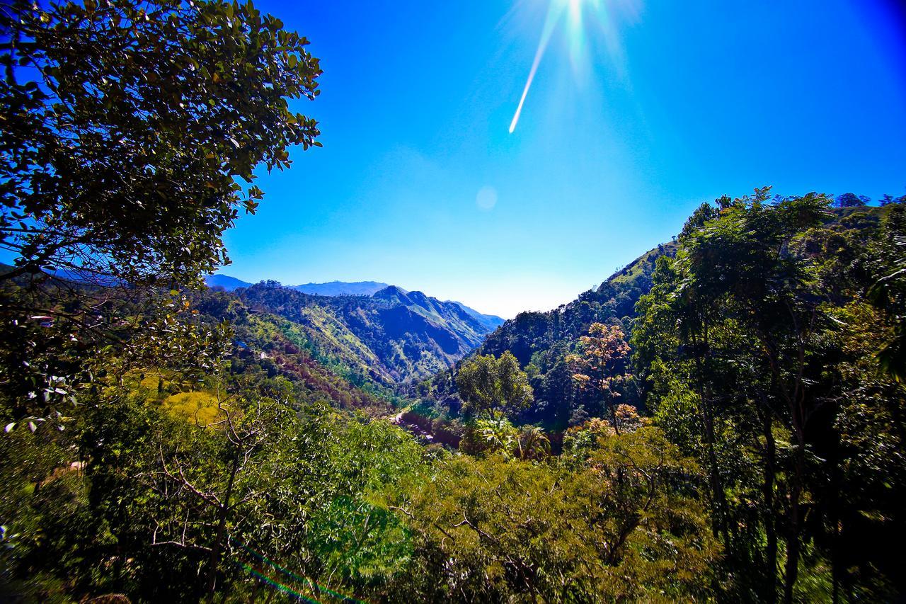 Ella Alpine Resort Dış mekan fotoğraf